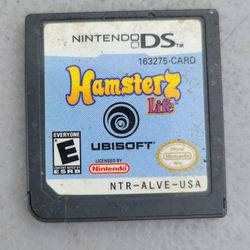 Nintendo DS GAME