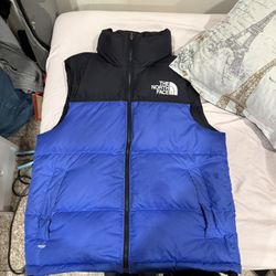 TNF vest