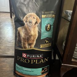 Comida para perro