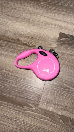 Flexi leash