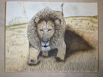 Lion Drawing On 24 X 18 