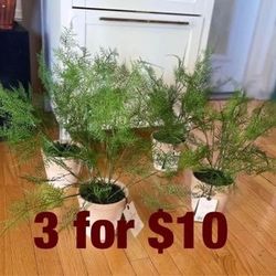 22” faux fern potted plant -