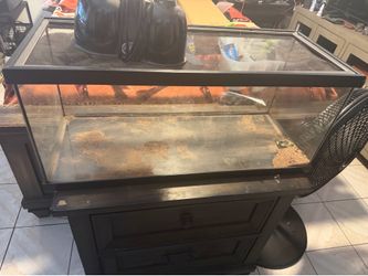 Reptile tank
