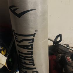 Punchig Bag Everlast 100lbs