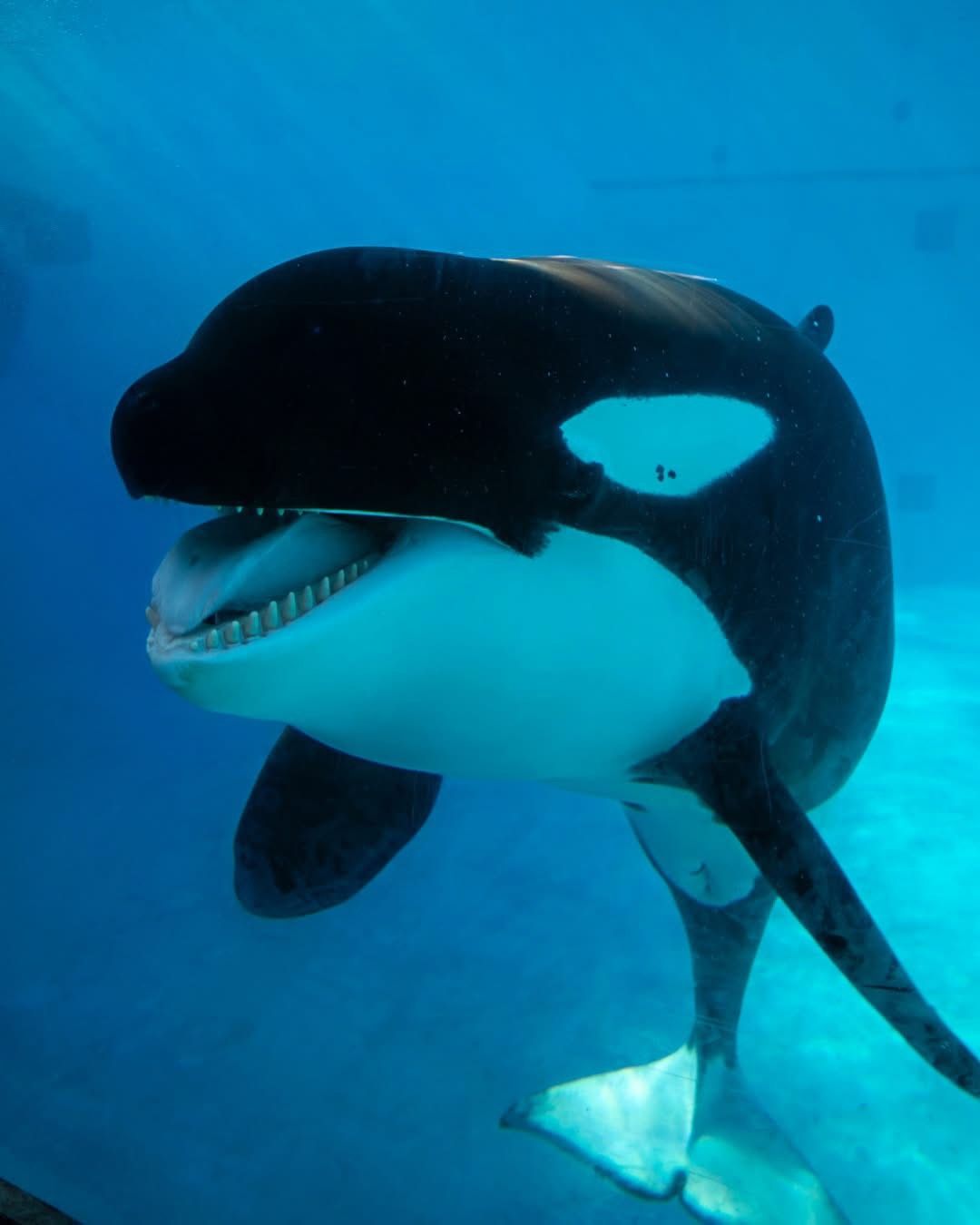 San Diego Sea World Tickets
