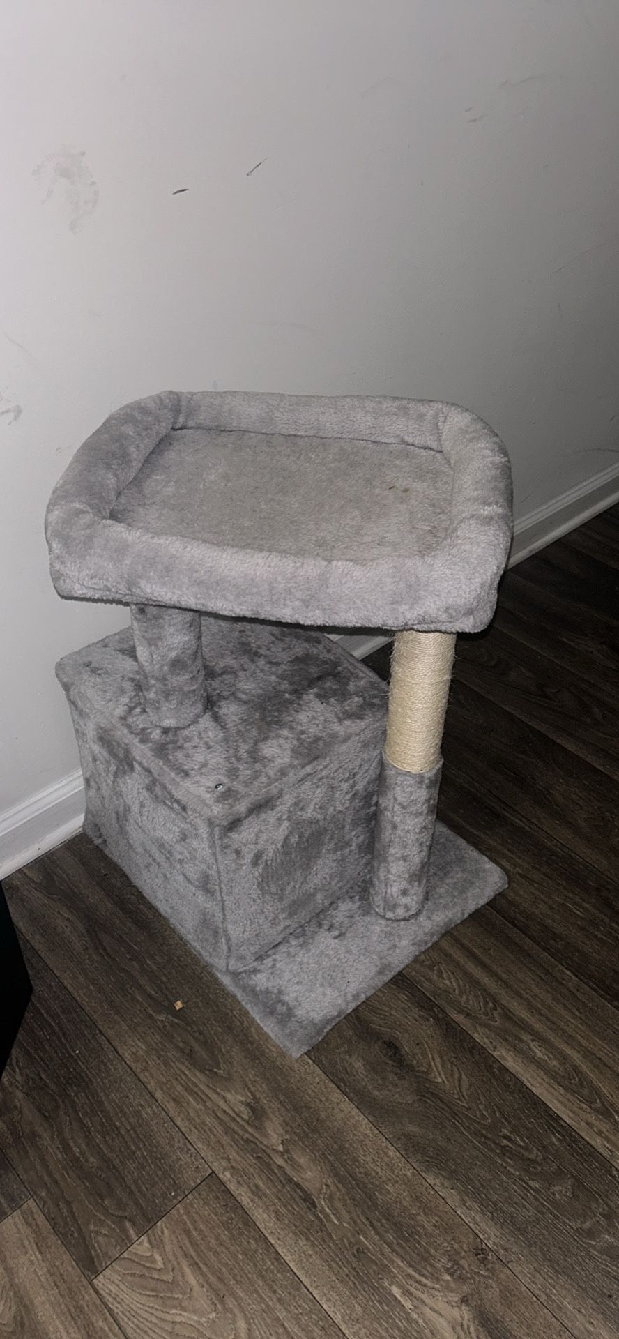 Cat Post