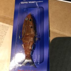 Fishing lure have more than one