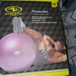 Fitness Ball 