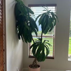 Large Potted  Silk Plant 