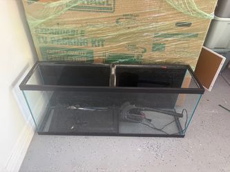 55 gallon fish tank