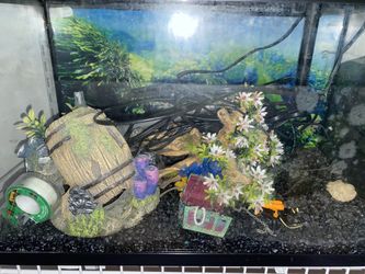 Top fin 10 gallon tank