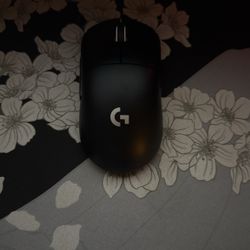 modded Gpro x superlight 