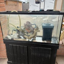 65 Gallon Aquarium