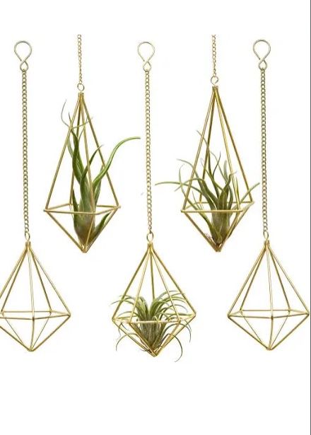 Air Plant Holders Hanging Or Wall Hanging 