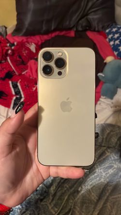 iPhone 13 Pro Max
