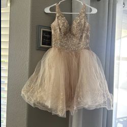 Vestido Para Dama de Quinceañera/ Quince Dress