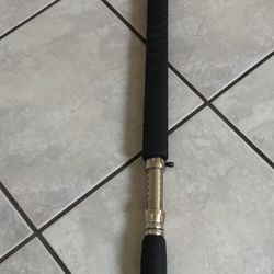 Shimano Terez Rail Rod