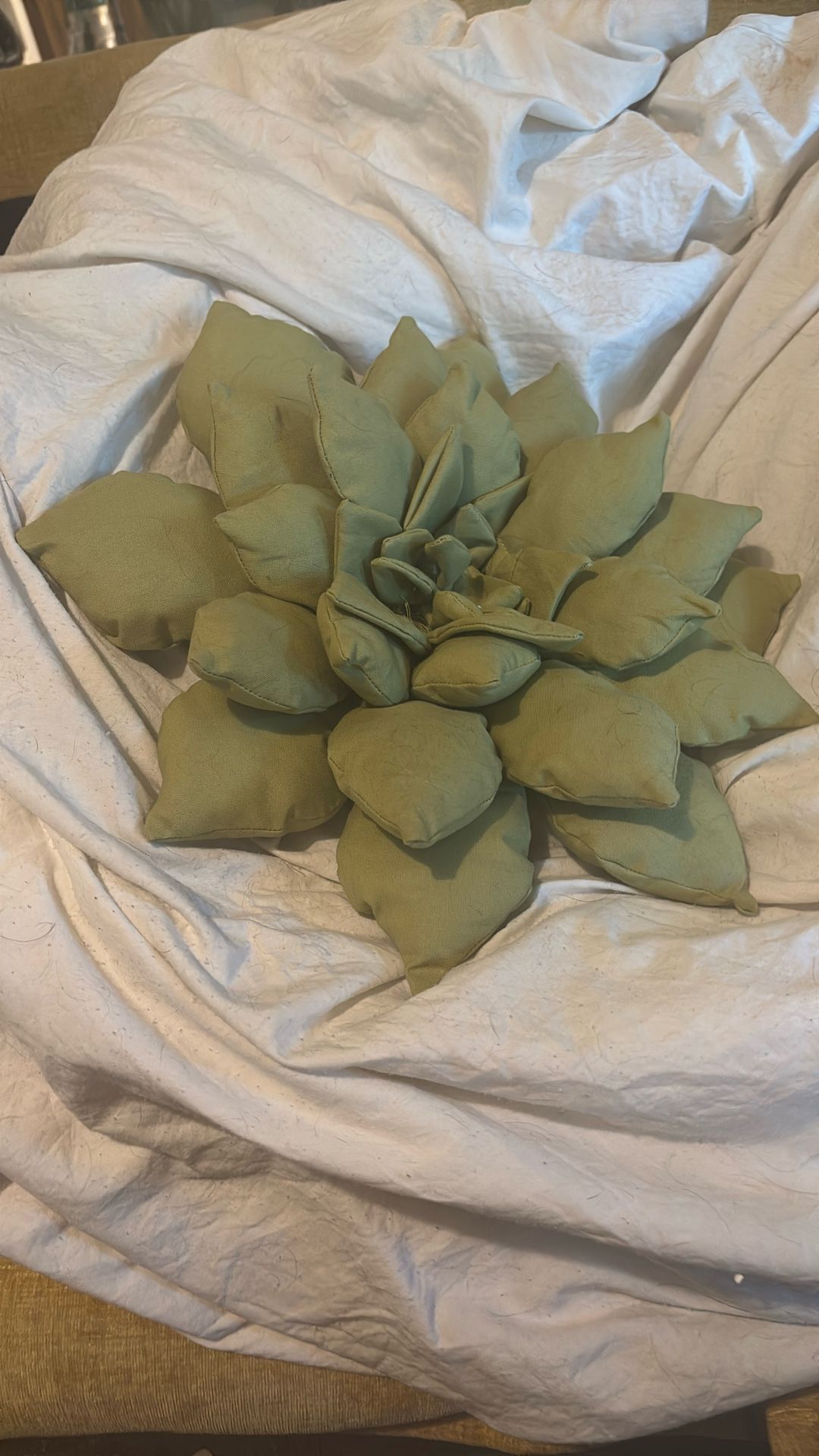 Handmade Succulent Decorative Pillows 