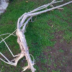 Genuine Driftwood For Aquariums Terrariums Decor 