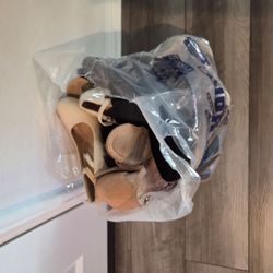 Bag of women's shoes