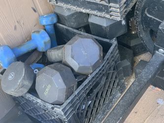 Ignite Barbells 35# Pair