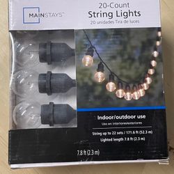 20 Count String Lights 
