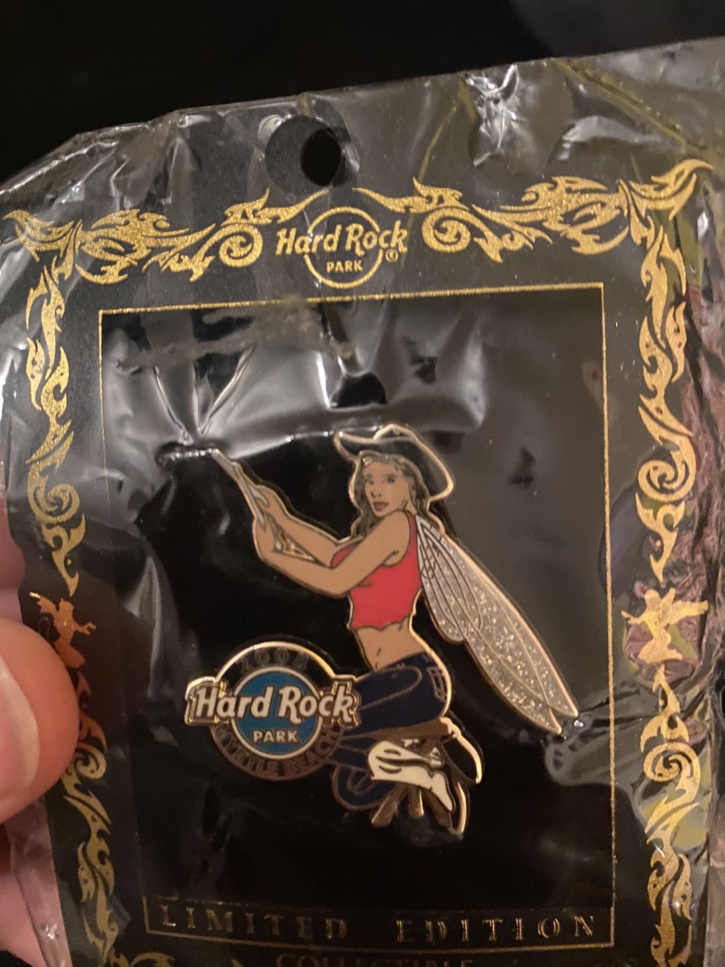 2008 Myrtle Beach Hard Rock Park Pin