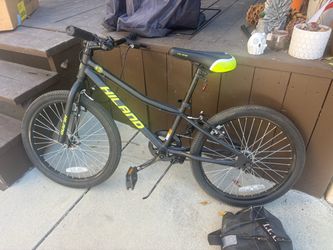 20" bike
