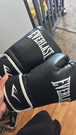 Everlast boxing gloves