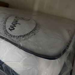 Queen Size Mattress $170  With Box Spring 