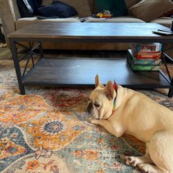 Solid Double Level Coffee Table 