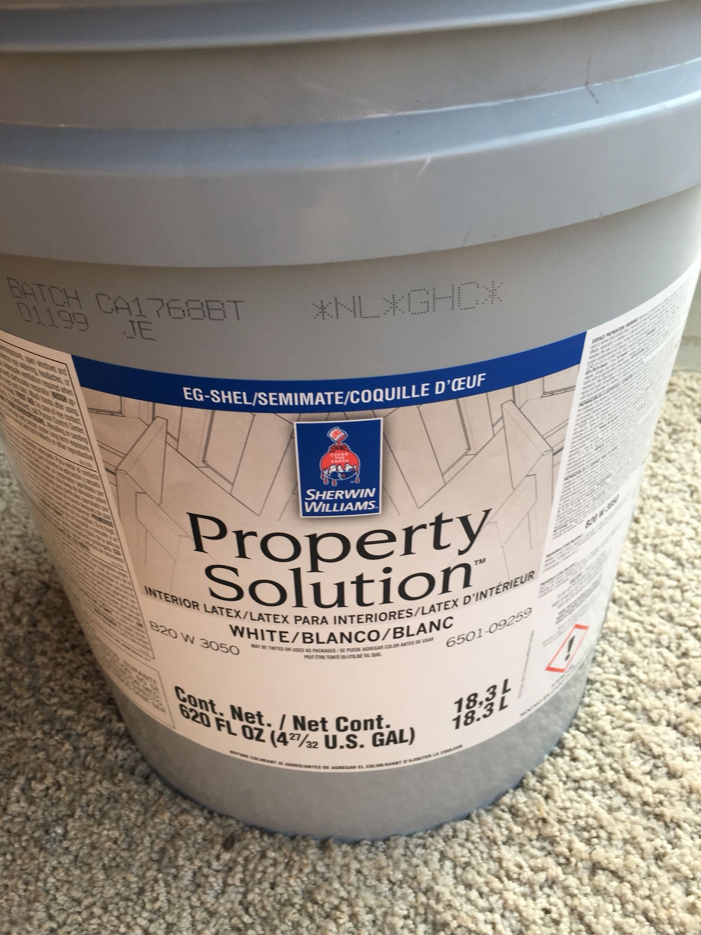 Sherwin williams 5 Gallon bucket light gray paint