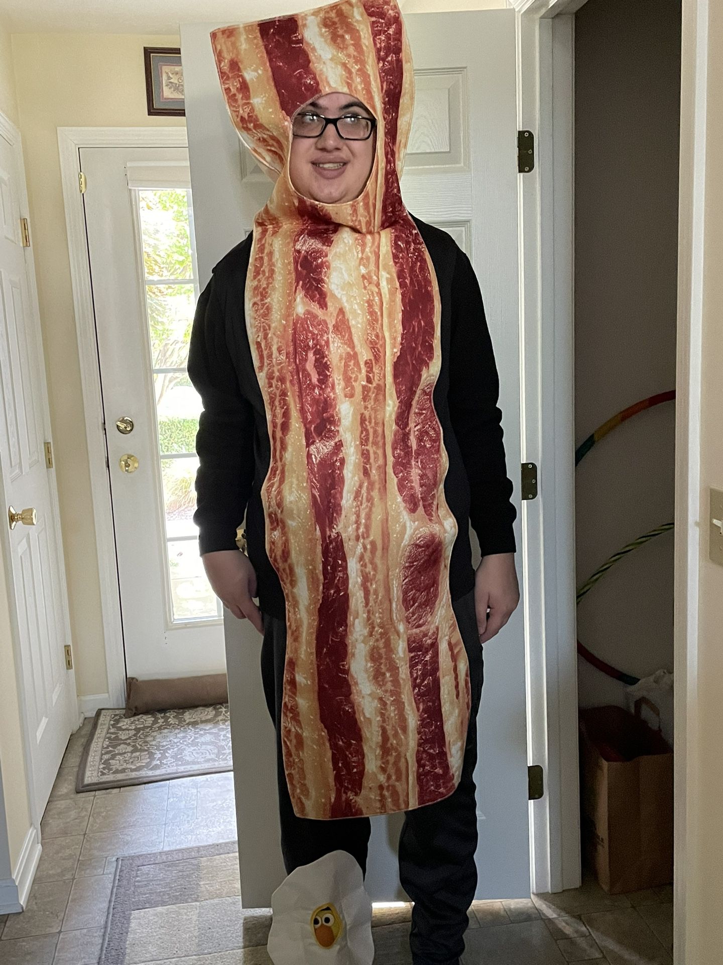 Adult Halloween Costume - BACON- One Size Fits ALL!