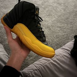 Jordan 12s 