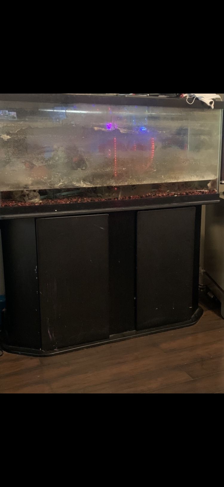 Fish Tank