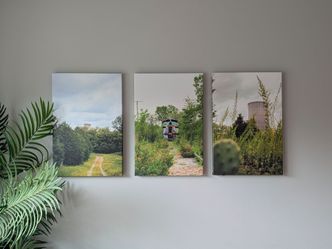 Set of 3 - 16x24" canvas prints