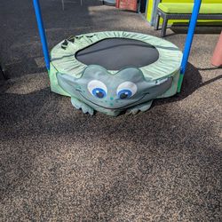 Lakeshore Trampoline