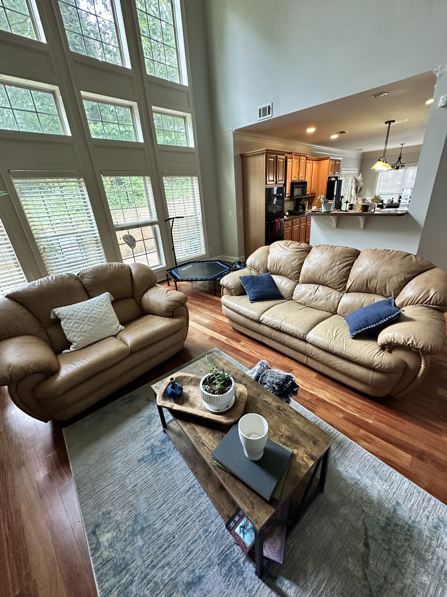Leather Couch Set
