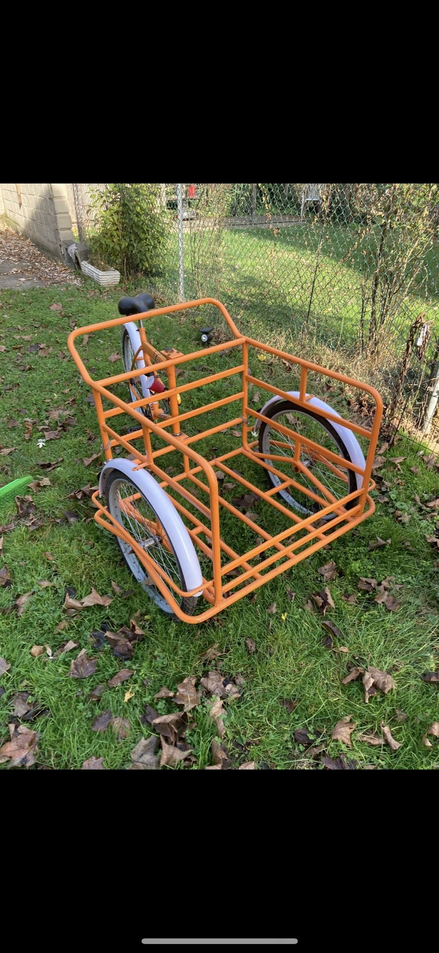 Cargo tricycle