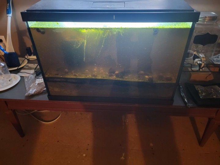 Aquarium Tank