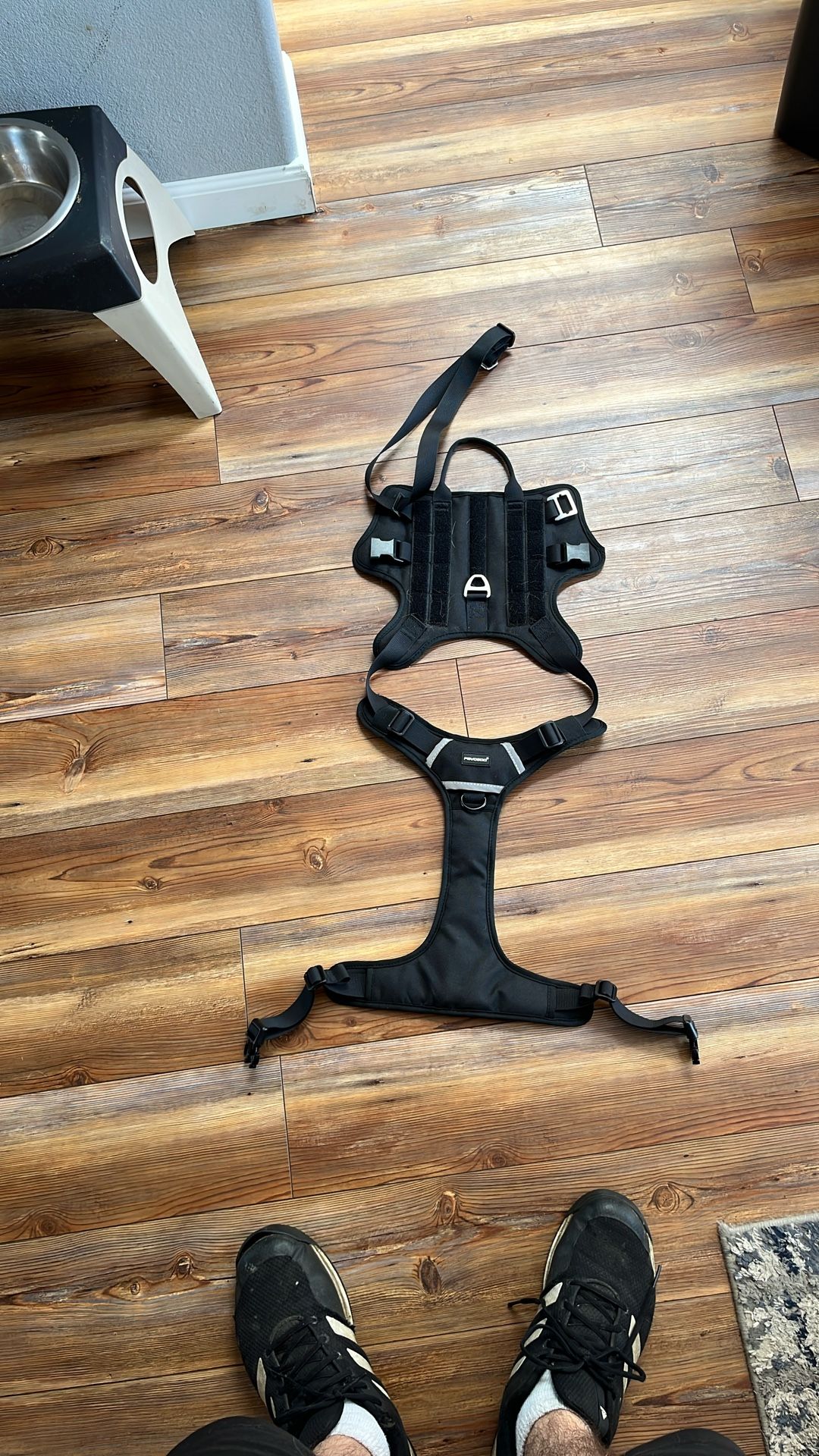 Dog Harness