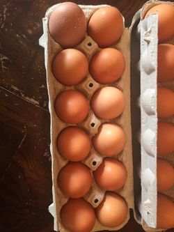 Farm fresh eggs
