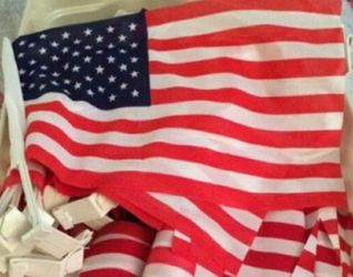 CAR USA FLAGS 🇺🇸 🇺🇸 🇺🇸 / Only 5 ea