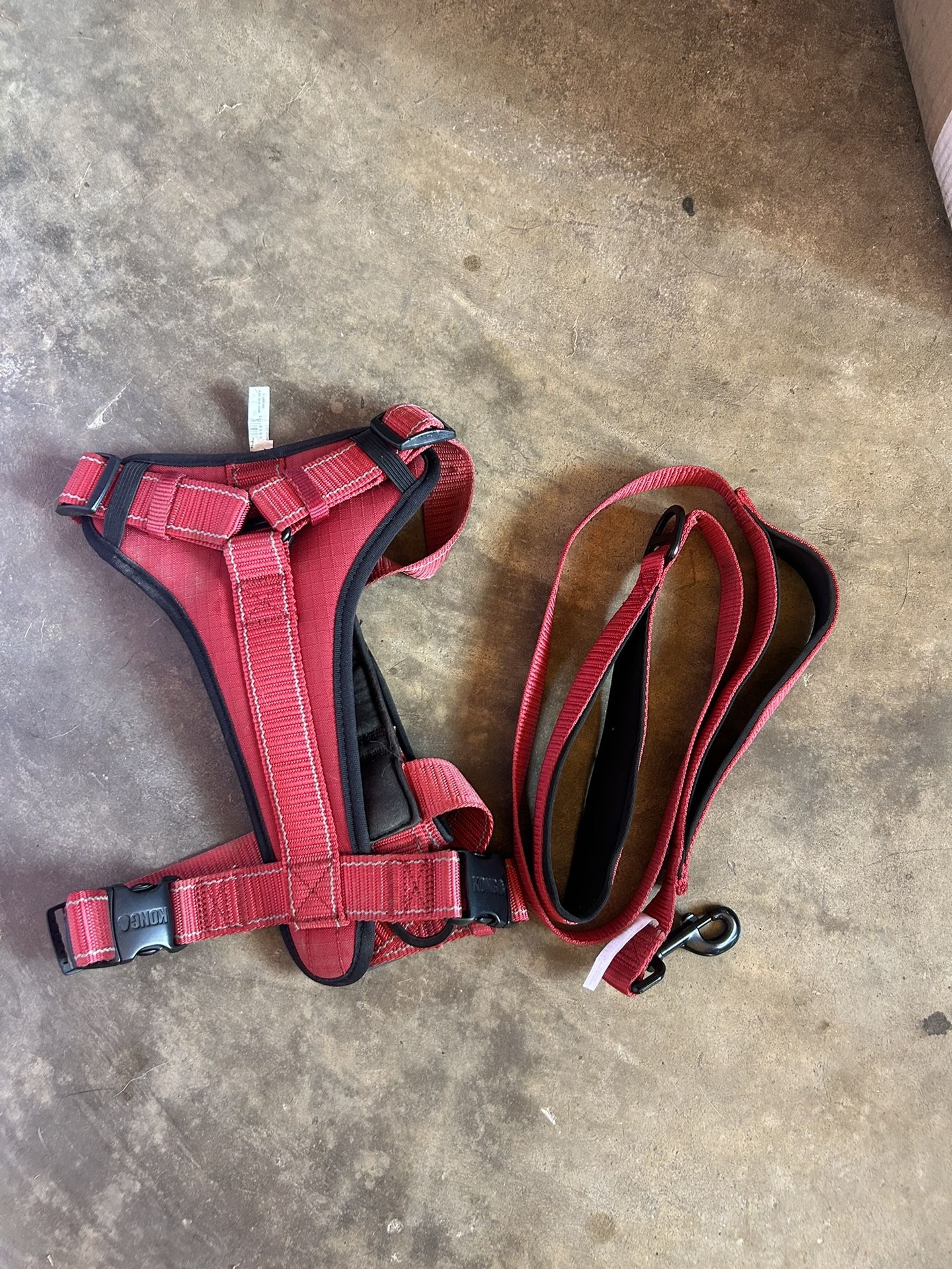 Kong Harness and Leash