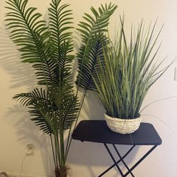 Artificial Plants 2x $55 