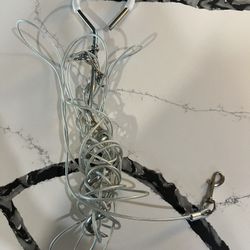 Dog Yard Stake and Leash 