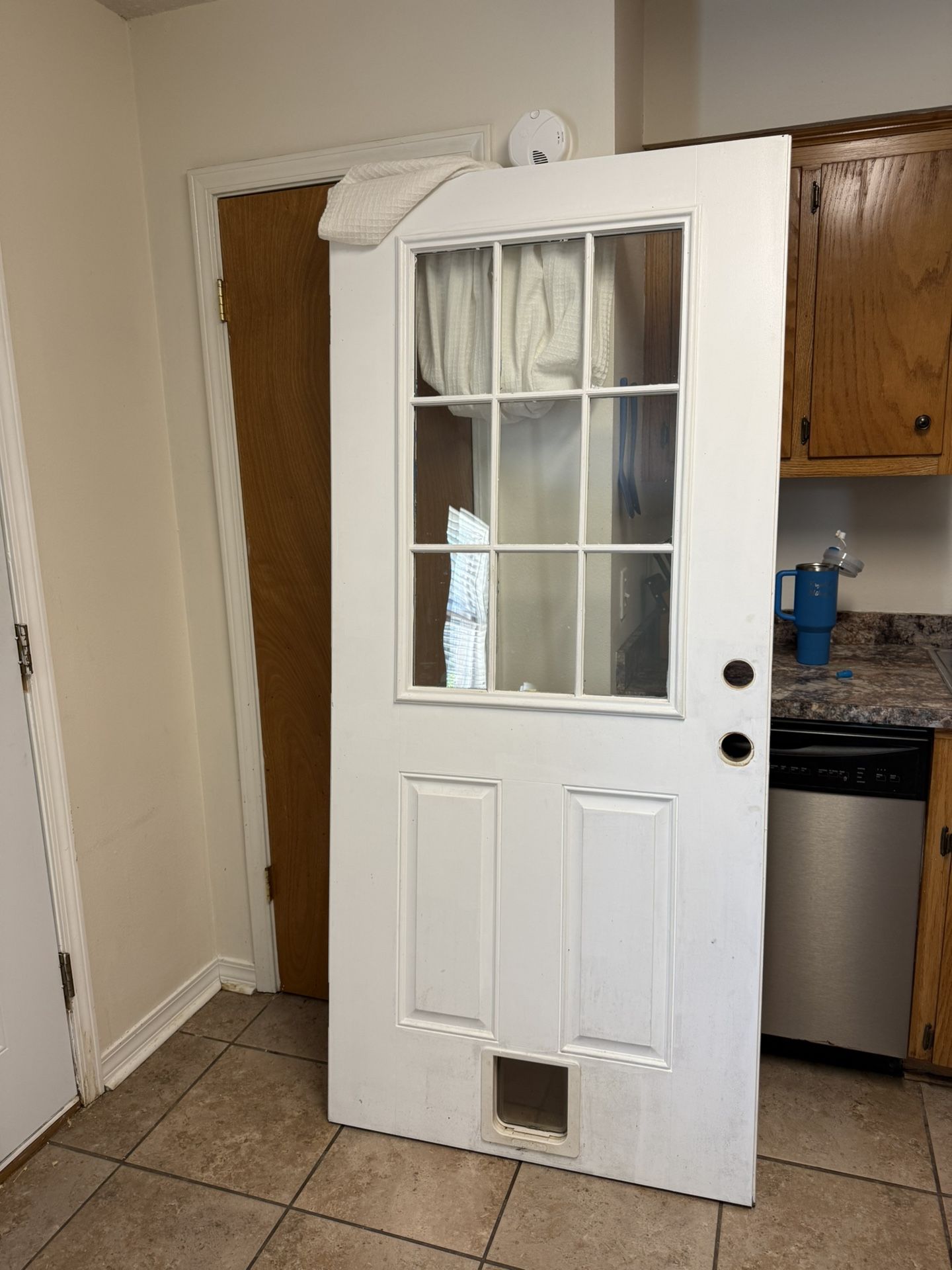 36x 80 Door With Pet Hole