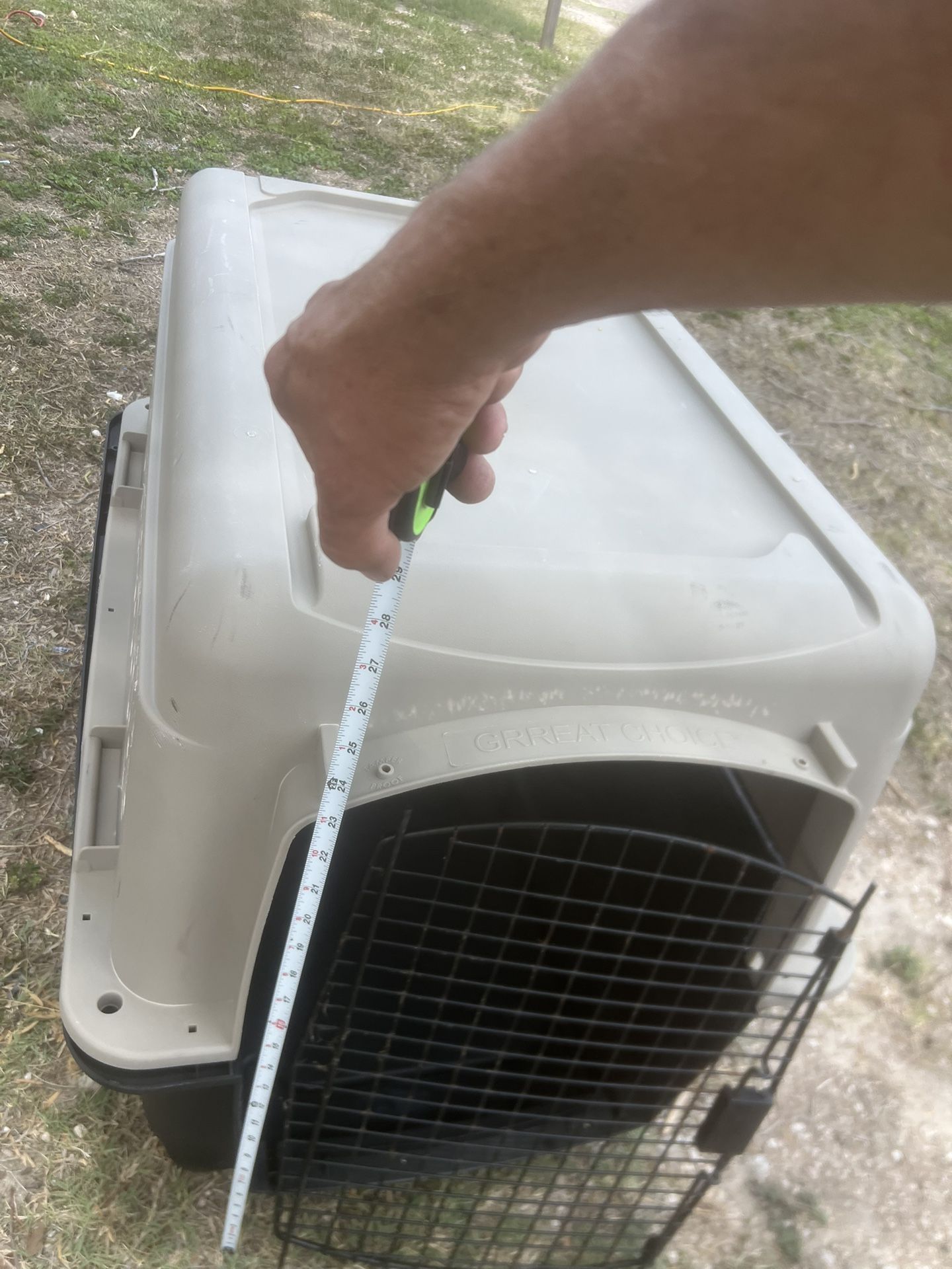 Pet Transport