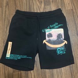 Brooklyn Cloth Fleece Shorts * City Of Angels * Woman Size Small. 