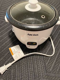 Mini rice cooker